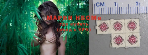 гашик Аркадак
