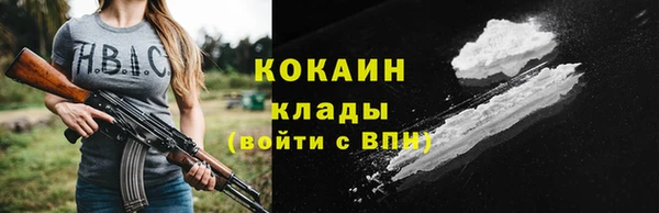 гашик Аркадак