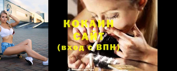 амф Жердевка