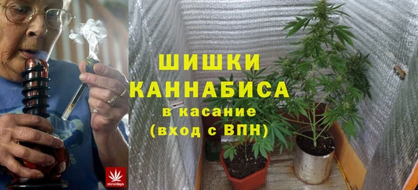 гашик Аркадак