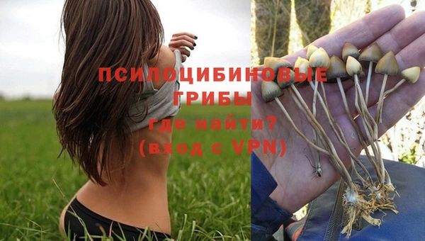 прущая мука Армянск