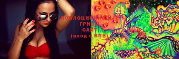 гашик Аркадак
